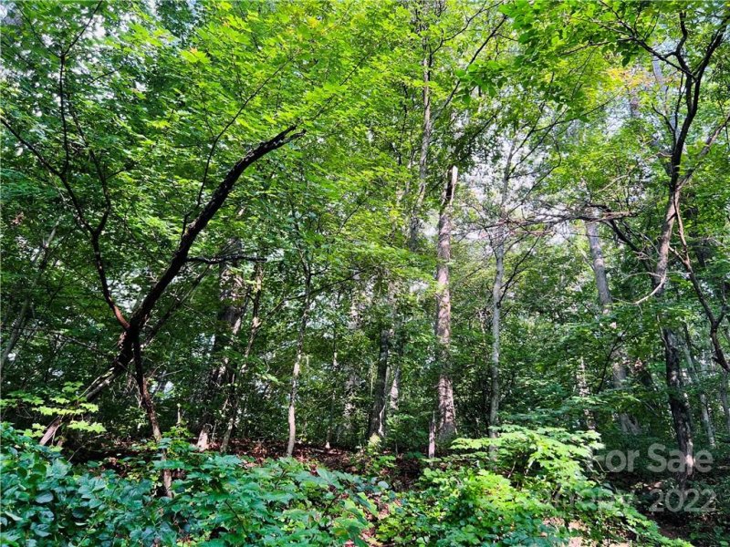 Property image 2 at 99999 Dogwood Forest Road, Fairview, NC 28730