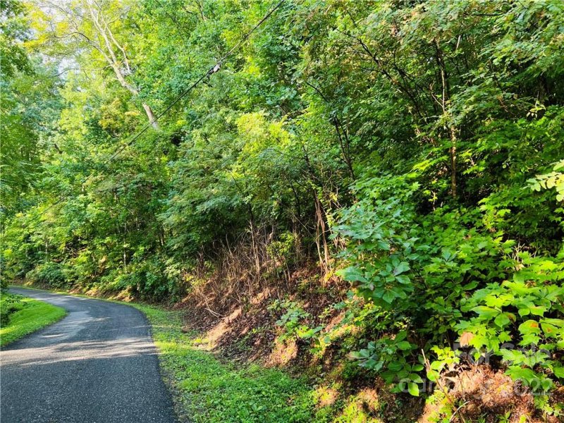 Property image 3 at 99999 Dogwood Forest Road, Fairview, NC 28730