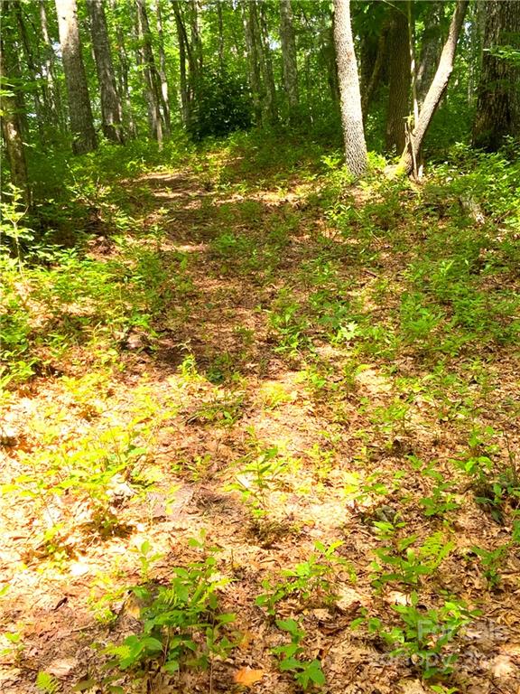 Property image 2 at 0 Leafy Knoll Circle, Glenville, NC 28736