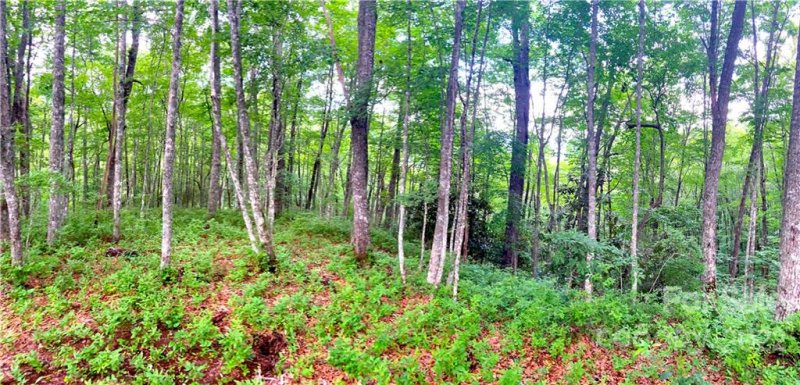 Property image 3 at 0 Leafy Knoll Circle, Glenville, NC 28736