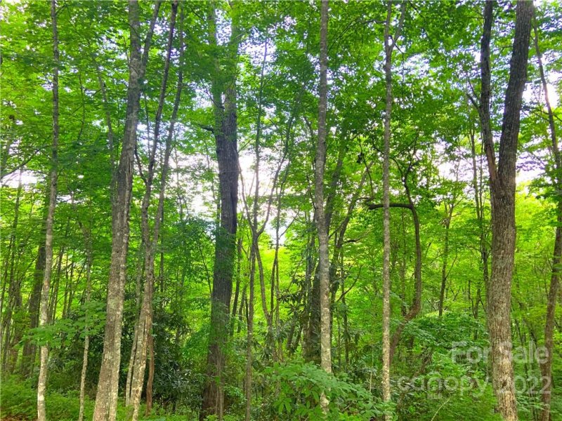 Property image 5 at 0 Leafy Knoll Circle, Glenville, NC 28736