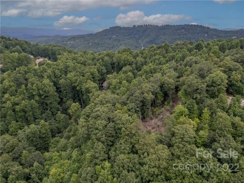 Property image 4 at 20 Highland Point Drive, Hendersonville, NC 28739