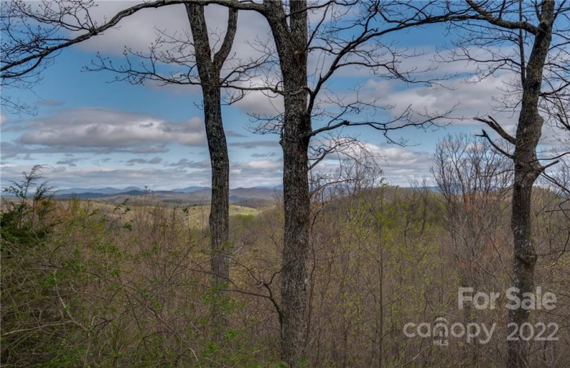 Property image 2 at 0000 Little Falls Drive, Tryon, NC 28782