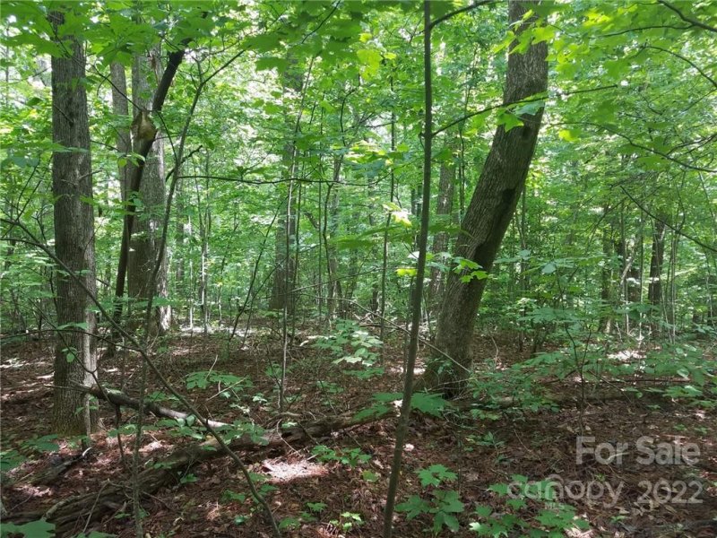 Property image 3 at 0000 Little Falls Drive, Tryon, NC 28782