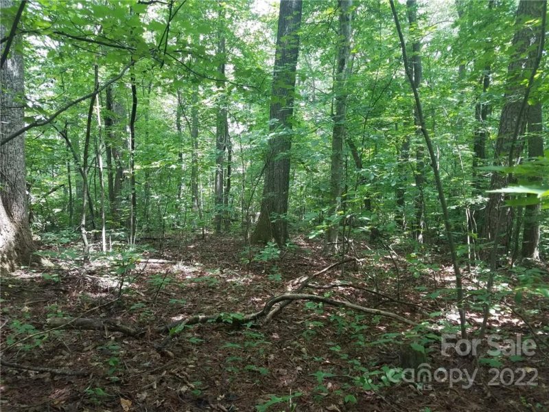 Property image 4 at 0000 Little Falls Drive, Tryon, NC 28782