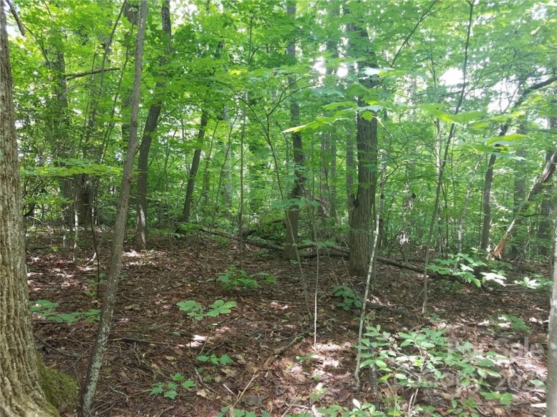 Property image 5 at 0000 Little Falls Drive, Tryon, NC 28782