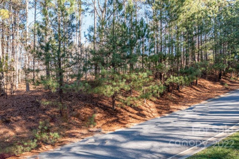 Property image 3 at 121 Summerwind Drive, Mooresville, NC 28117