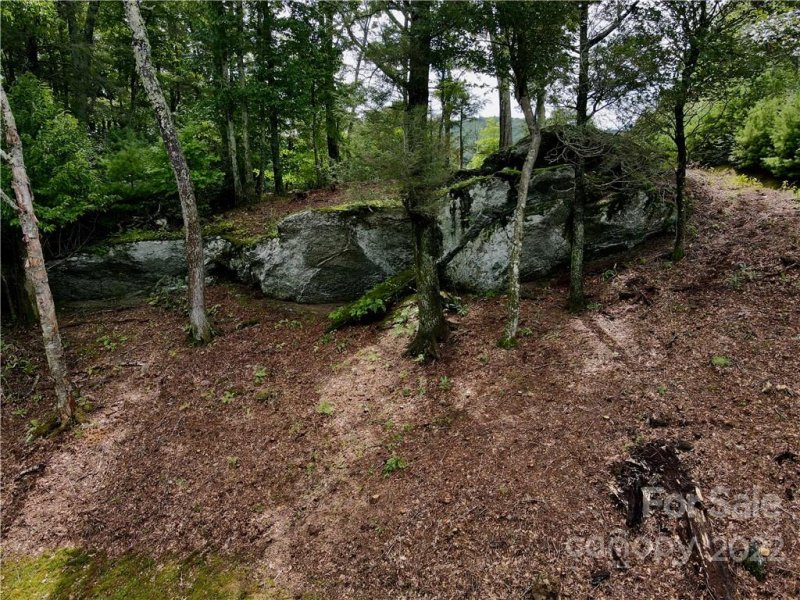 Property image 2 at Tbd Firethorn Trail, Blowing Rock, NC 28605