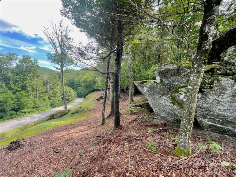 Property image 4 at Tbd Firethorn Trail, Blowing Rock, NC 28605