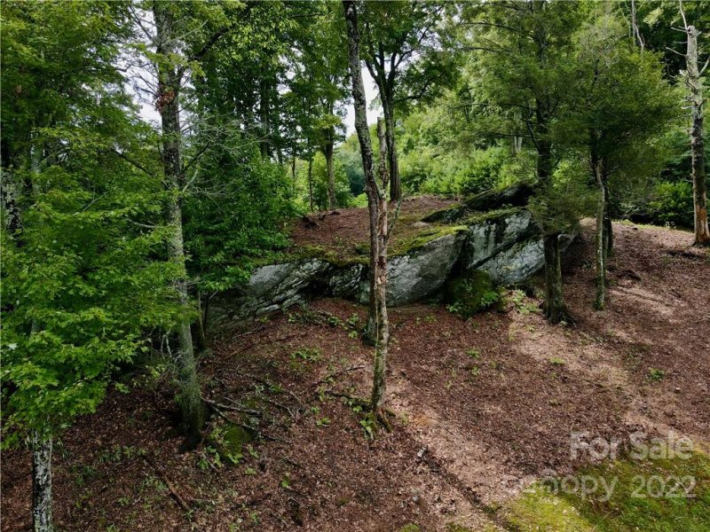Property image 5 at Tbd Firethorn Trail, Blowing Rock, NC 28605