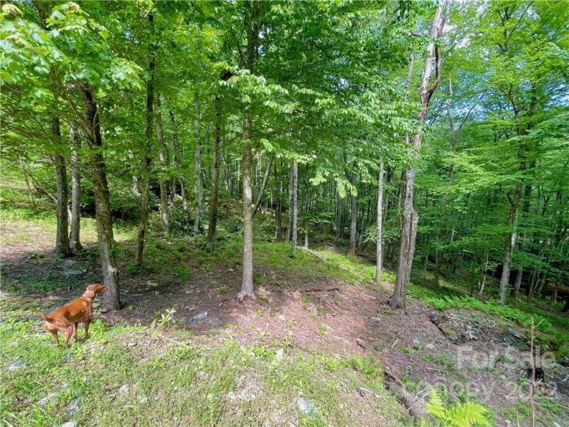 Property image 4 at 127 Stoneledge Lane, Blowing Rock, NC 28605