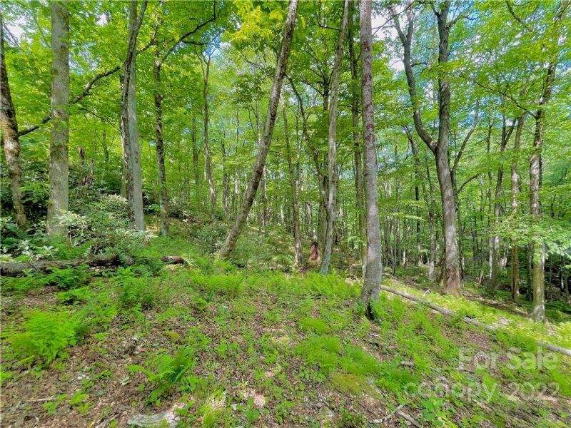 Property image 5 at 127 Stoneledge Lane, Blowing Rock, NC 28605