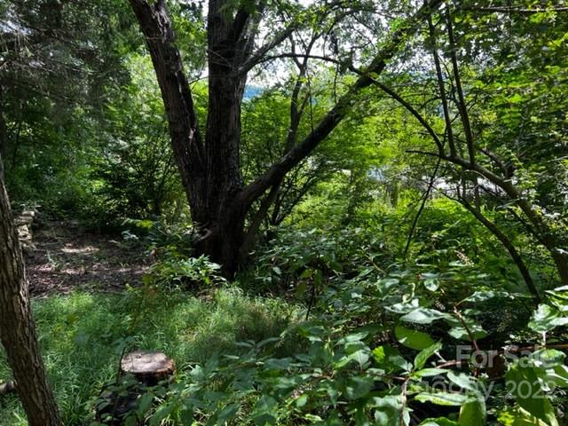 Property image 3 at 451 Onteora Boulevard, Asheville, NC 28803