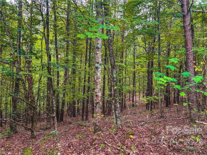 Property image 2 at 0000 Mcowenben Pass, Lake Lure, NC 28746