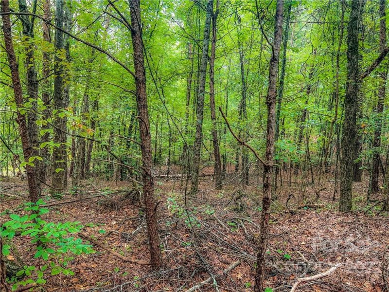 Property image 3 at 0000 Mcowenben Pass, Lake Lure, NC 28746