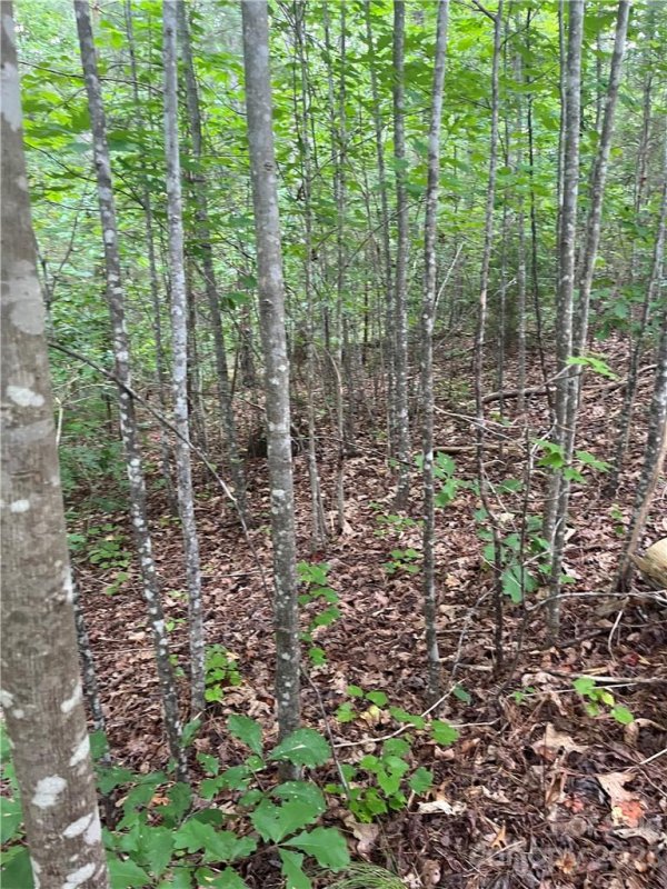 Property image 3 at Lot 344 N Dakota Drive, Rutherfordton, NC 28139