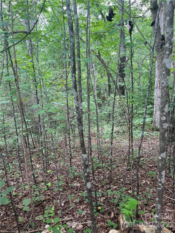 Property image 4 at Lot 344 N Dakota Drive, Rutherfordton, NC 28139