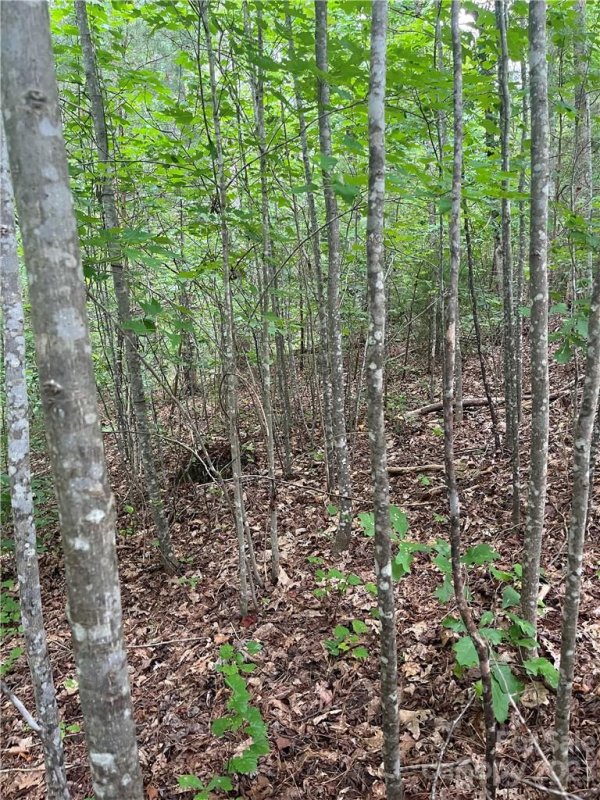 Property image 5 at Lot 344 N Dakota Drive, Rutherfordton, NC 28139