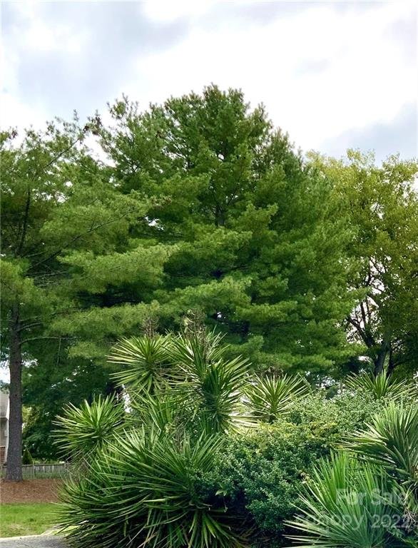 Property image 5 at 1700 Renard Ridge Road, Charlotte, NC 28212