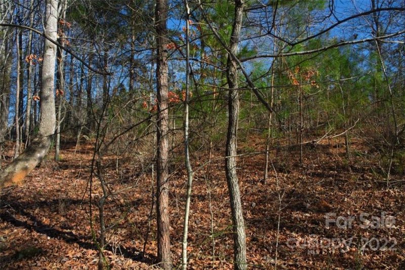 Property image 3 at 0 Hearthstone Drive, Union Mills, NC 28167