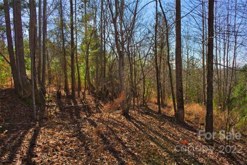 Property image 5 at 0 Hearthstone Drive, Union Mills, NC 28167