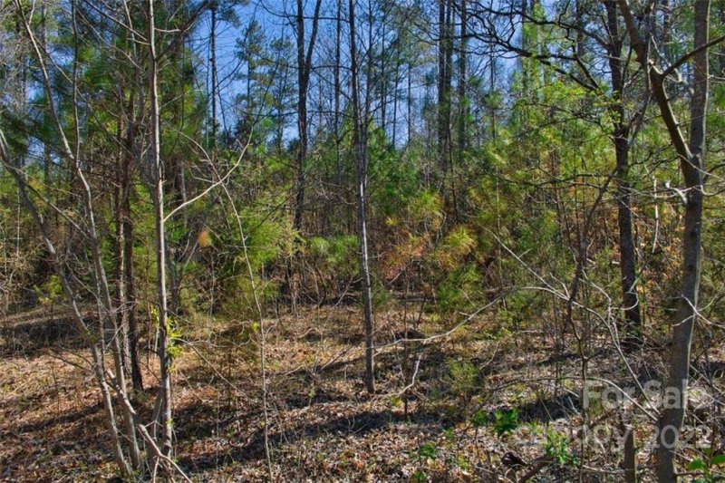 Property image 2 at 0 Hearthstone Drive, Union Mills, NC 28167