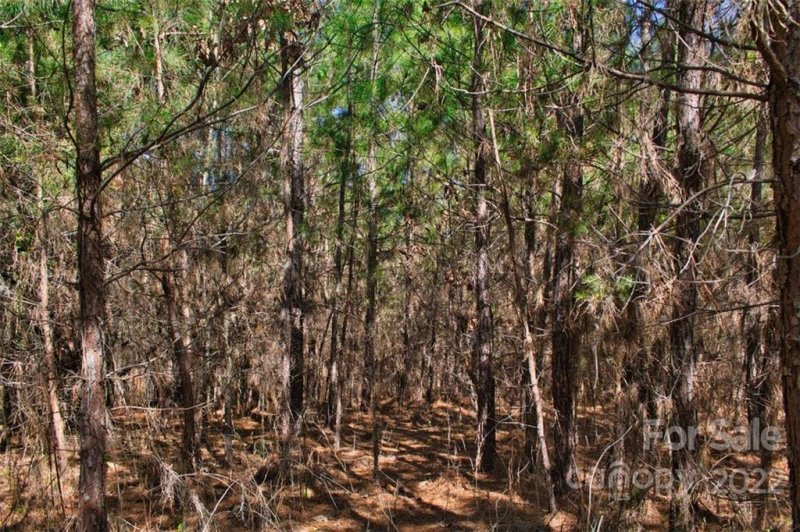 Property image 3 at 0 Hearthstone Drive, Union Mills, NC 28167