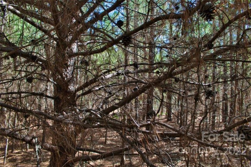 Property image 4 at 0 Hearthstone Drive, Union Mills, NC 28167