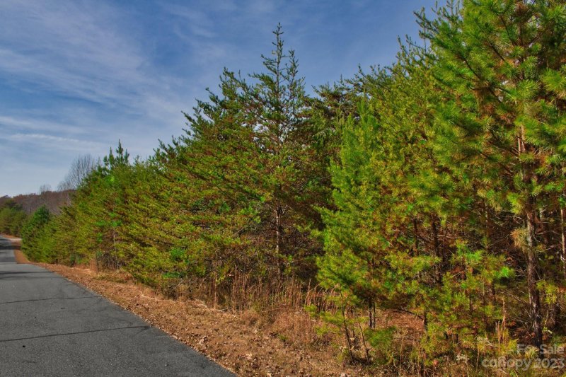 Property image 2 at 0 Moonlight Pass, Union Mills, NC 28167