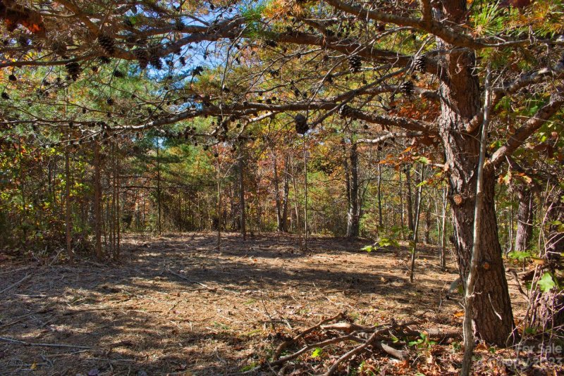 Property image 3 at 0 Moonlight Pass, Union Mills, NC 28167