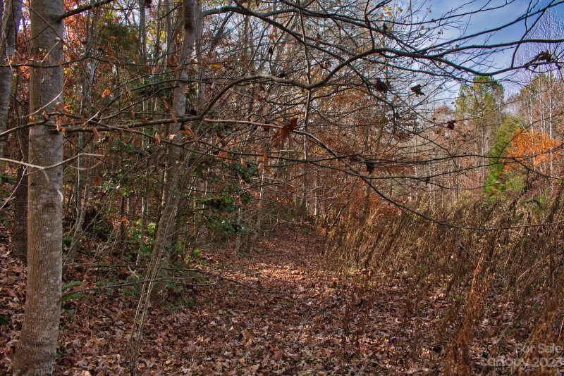 Property image 5 at 0 Moonlight Pass, Union Mills, NC 28167