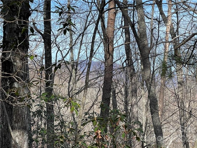 Property image 2 at 00 Charity Branch Drive, Saluda, NC 28773