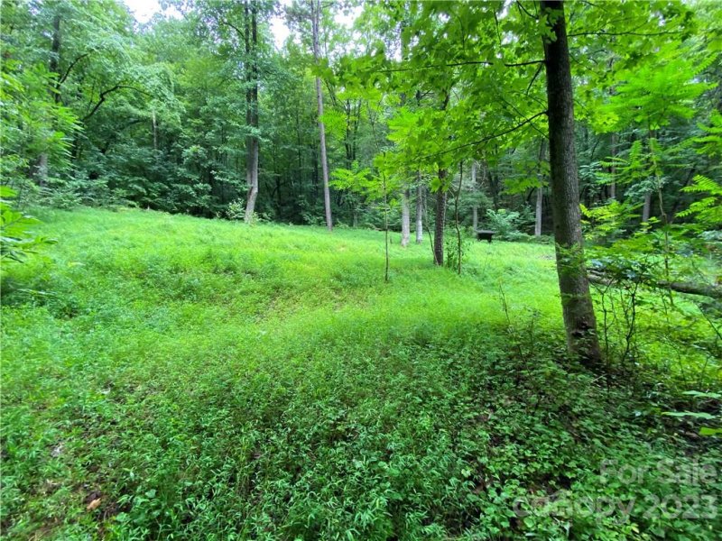 Property image 3 at 00 Charity Branch Drive, Saluda, NC 28773