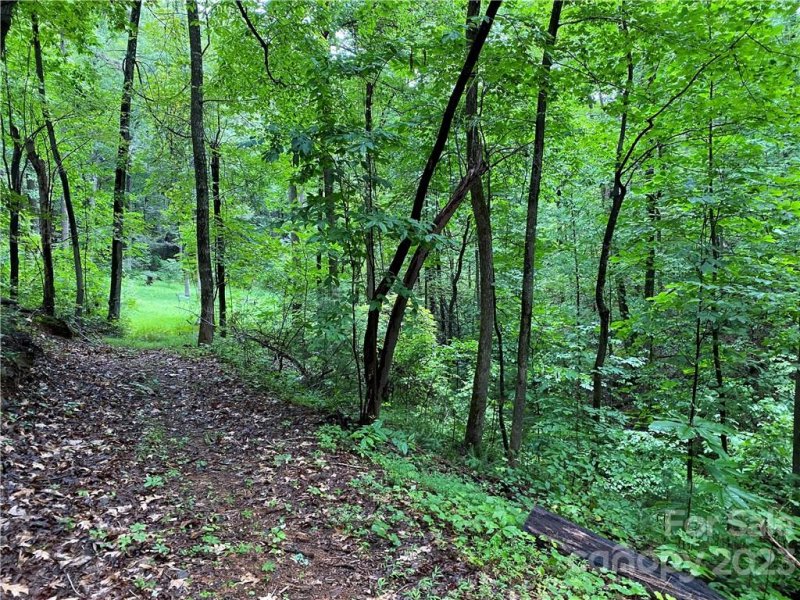 Property image 4 at 00 Charity Branch Drive, Saluda, NC 28773