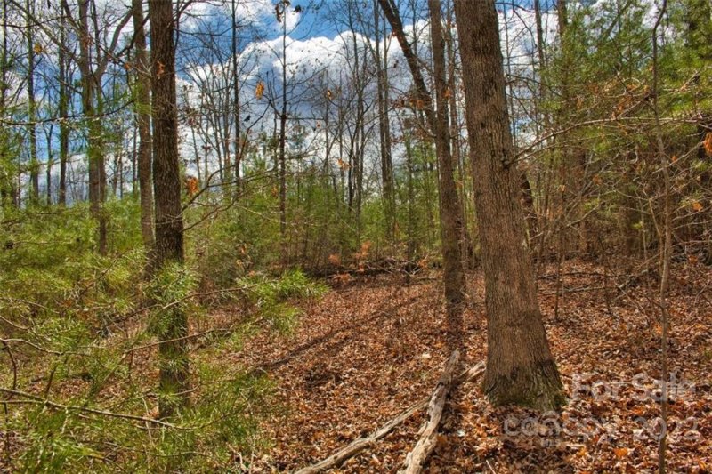 Property image 3 of 0 N Dakota Drive in Clearwater Creek, Rutherfordton, NC 28139