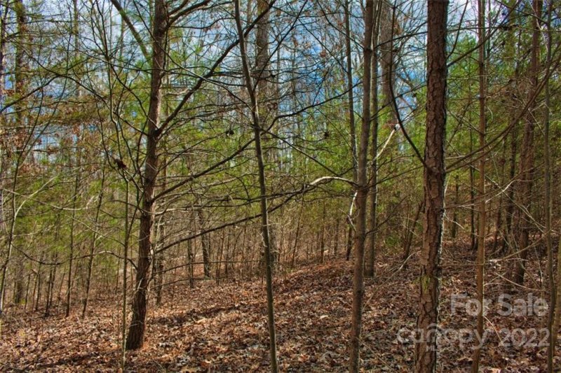 Property image 4 of 0 N Dakota Drive in Clearwater Creek, Rutherfordton, NC 28139