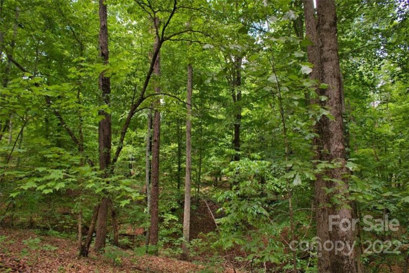 Property image 3 of 0 Midnight Pass in Clearwater Creek, Rutherfordton, NC 28139