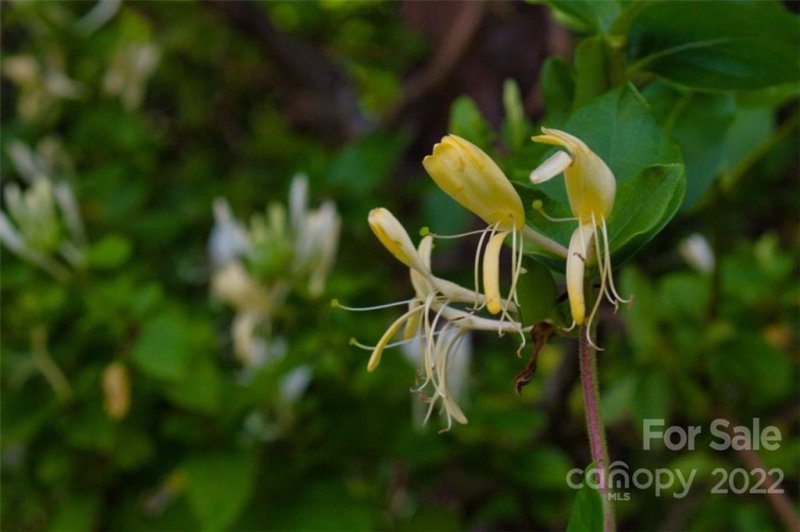 Property image 5 of 0 Midnight Pass in Clearwater Creek, Rutherfordton, NC 28139