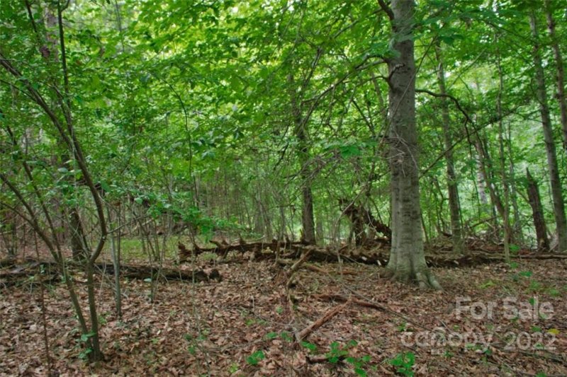 Property image 3 at 0 Desota Ridge, Rutherfordton, NC 28139