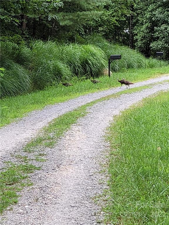 Property image 2 at 50 A Oak View Lane, Saluda, NC 28773