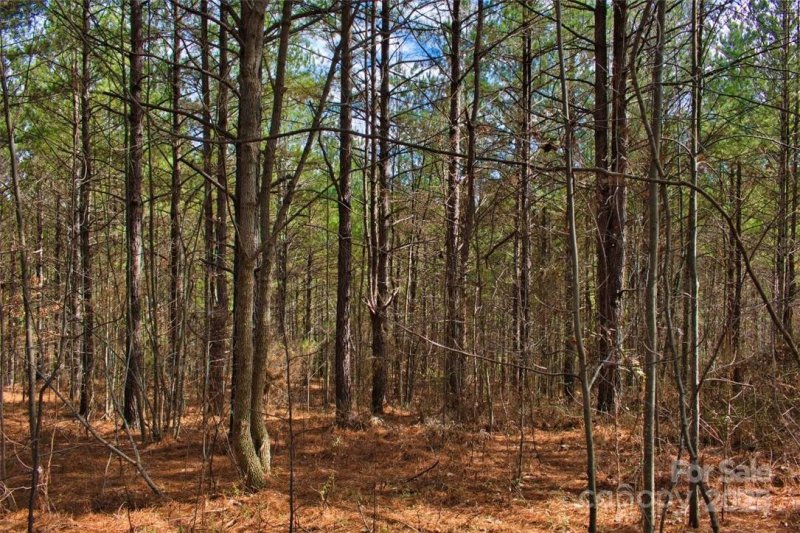 Property image 3 at 0 Bitterroot Circle, Rutherfordton, NC 28139