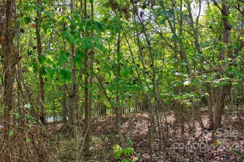 Property image 3 of 0 Chimney Creek Lane in Clearwater Creek, Rutherfordton, NC 28139