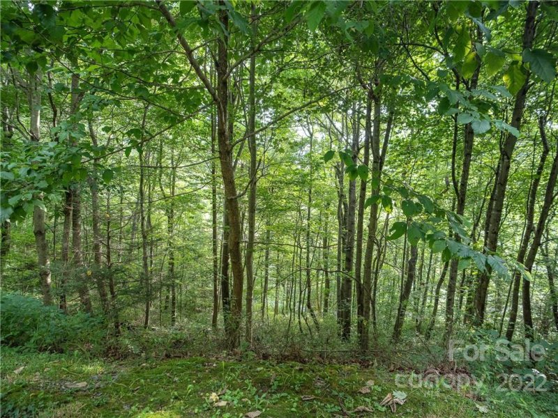 Property image 4 of 00 Ironwood Lane in Scarlet Oaks, Maggie Valley, NC 28751