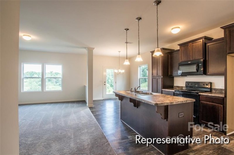 Property image 4 at 14317 Whistling Teal Drive, Charlotte, NC 28262