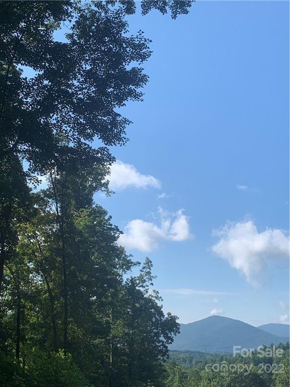 Property image 2 at 201 Patriots Drive, Asheville, NC 28805