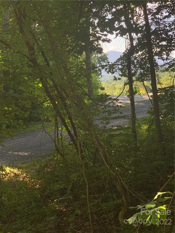 Property image 3 at 201 Patriots Drive, Asheville, NC 28805