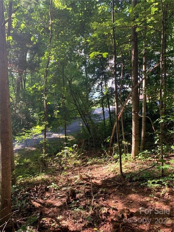 Property image 4 at 201 Patriots Drive, Asheville, NC 28805