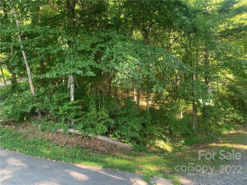 Property image 5 at 201 Patriots Drive, Asheville, NC 28805