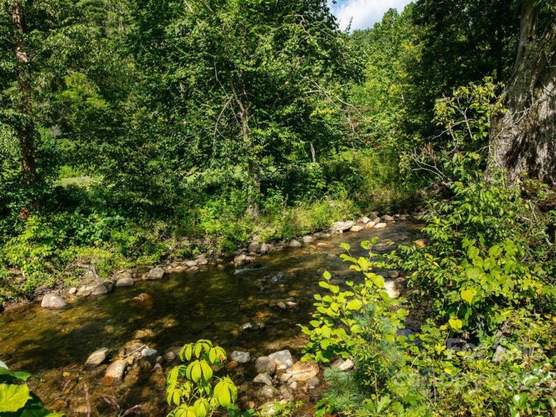 Property image 4 at 00000 Shining Rock Drive, Canton, NC 28716