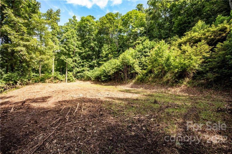 Property image 3 at Lot 49 Weatherwatch Lane, Waynesville, NC 28786